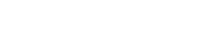 DESSAR Digital Intelligence