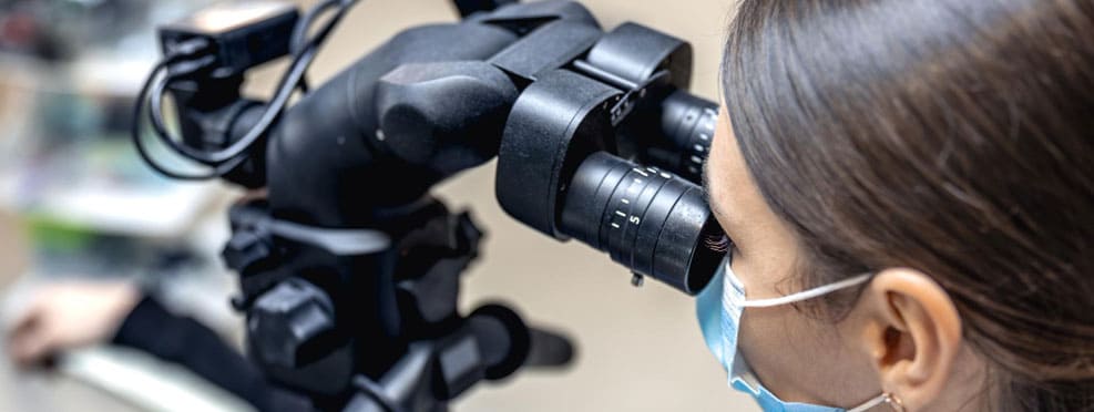 Videoscopes & Optical Microscopes